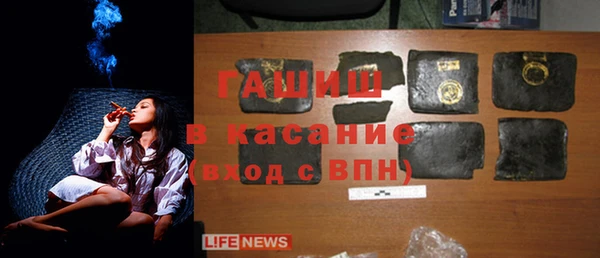 сатива Армянск