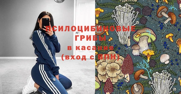 сатива Армянск