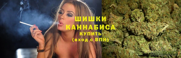 сатива Армянск
