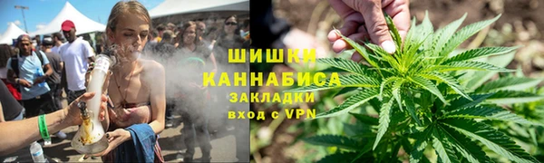 сатива Армянск