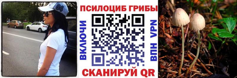 Псилоцибиновые грибы Psilocybine cubensis Учалы